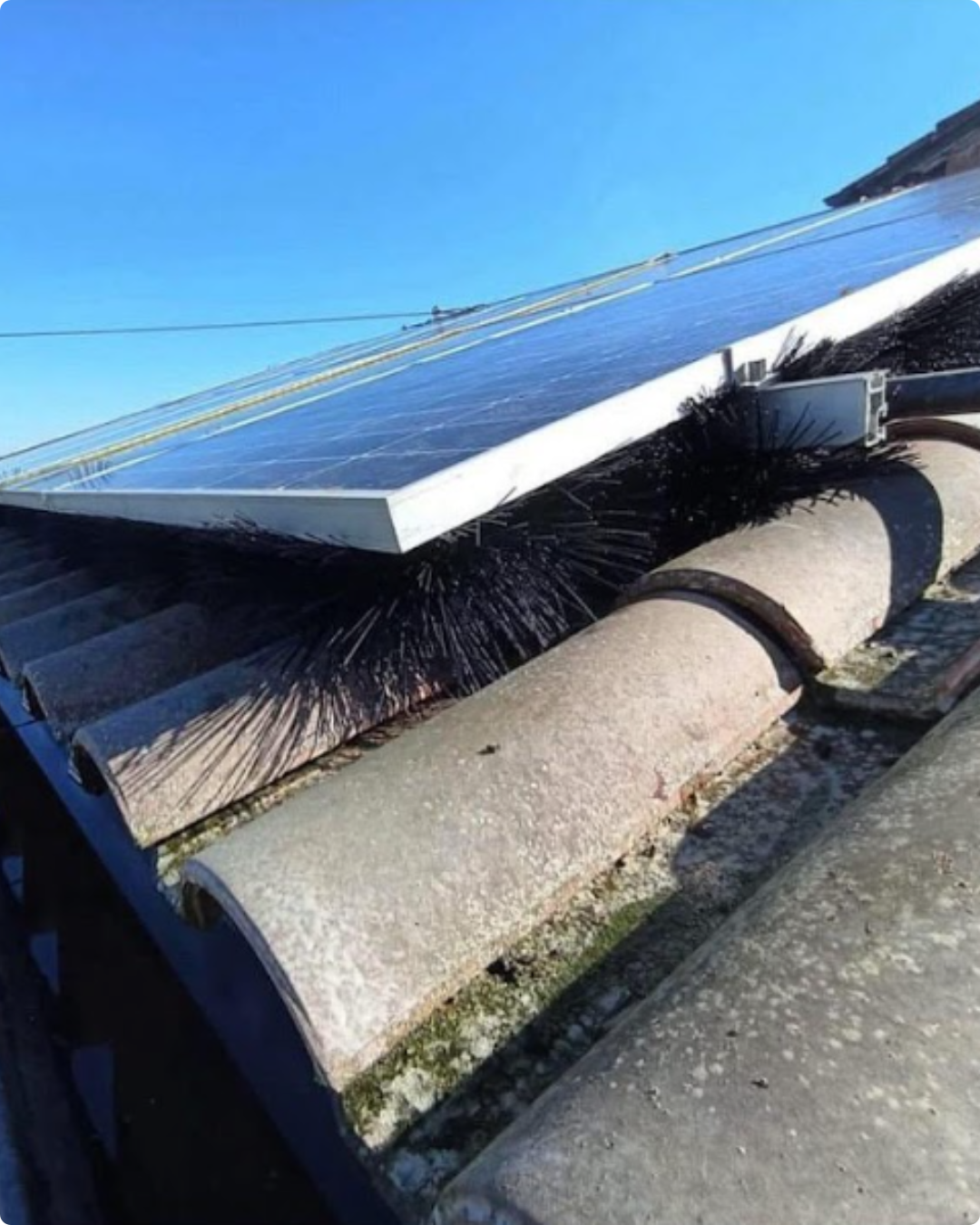 Rete antipiccione per pannelli fotovoltaici